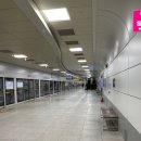 신장전통시장상인회 주차장(1F) | [하남 신장시장 투어] 백종원 골목식당 하남 석바대 골목편 출연 음식점에 다녀왔어요!