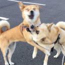 가창로176길 이미지