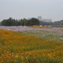 이경숙농장 이미지