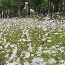 꽃밭에서 - 거제시 중곡로 40 | 꽃밭에서