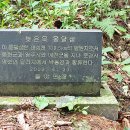 자락길 옹달샘 네이버블로그