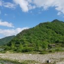 이영균농장 이미지