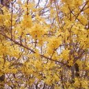 부명초등학교 이미지