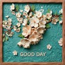 morning soft 네이버블로그