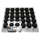 다온오리 이미지