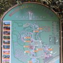 트로피칼 이미지