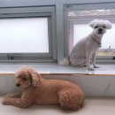 고덕유치원 이미지