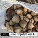 서천 갯벌체험 선도리갯벌체험장에서 조개캐기 주말 방문 후기