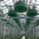 국제팜코리아 이미지