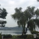 호수위의 하루 이미지