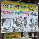 [뽈락구이/물회] 해원횟집/ 거제도맛집/ 학동흑진주몽돌해수욕장 맛집 후기