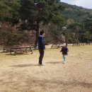 할매분식(언양) 이미지