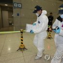 바둑여객 이미지