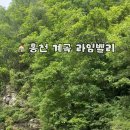 라임벨리