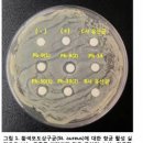 네오리젠바이오텍