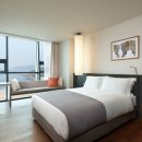 스테이 봄 이미지