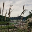 꿈누리유치원 이미지