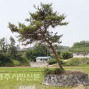 새마을할머니 경로당 이미지