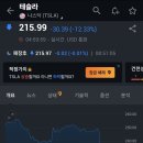 새벽사이에 대폭락한 테슬라 주가 이미지