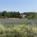 하늬농장 이미지