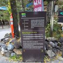 디딜방아 | 평화의 길 25코스(종점상회 - 양구백자박물관 - 양구 두타연갤러리)