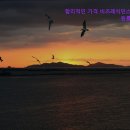 비즈 레지던스 이미지