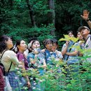 방송인 '김제동'이 선택한 미래의 직업 ＜숲해설가＞는? 이미지