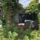 야자수 펜션 민박 이미지