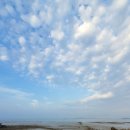 예닮이네 이미지