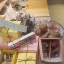 커낼워크 봄동 이미지