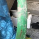 성산초등학교 앞 이미지