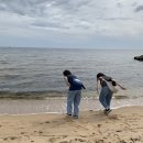 멜버른 연말 후기 2