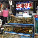 오렌지 수산 이미지