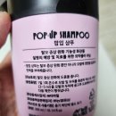 봄 헬스케어 | 두피 건강 샴푸 추천, 남편이 먼저 반한 농협헬스케어 팝업 볼륨샴푸 후기