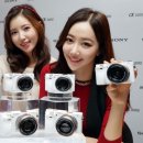 화이트미디어