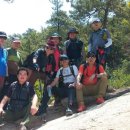 김종옥농장 이미지