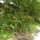 서당공원 화장실 이미지