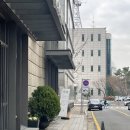 라플로르 | 분당 서현 두바이쫀득쿠키 라플로르드무아 후기