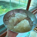 초리골초계탕 이미지