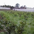 지재농장 2 이미지