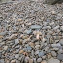 풍경소리2 이미지