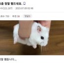 이앤박동물병원 이미지