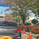 [생태체험] 대저생태공원 - 5월 26일(일) 오전 | 🌼 대저생태공원｜부산도시농업박람회 아이랑 다녀온 후기(내일 마지막 날!) 체험 꿀팁 정리