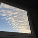 레이지템플 이미지