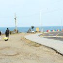 어머니와고등어 이미지