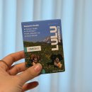 고기파마 | 강아지영양제 순도80% 룰루파마오메가3 비숑 급여 후기