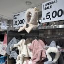 명동잡화 | 다이소 가격으로 옷 산다고? 명동 미미라인 2000원 쇼핑 후기🛍️