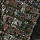 한산일주로가로수 | 연희정음 후기 (ft 내가 살고 싶은 주택)