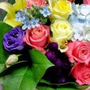 어진동_교육부 이미지