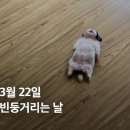 모닝베이커리